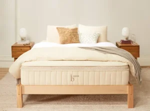 Birch by Helix Mattress